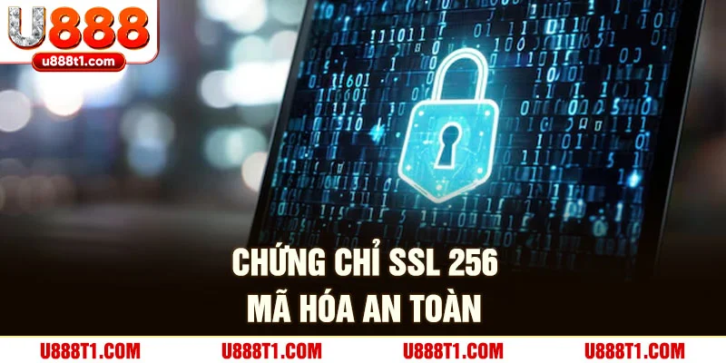 Chứng chỉ SSL 256 mã hóa an toàn